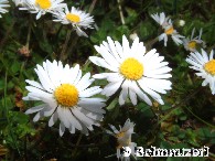 Licht und Schatten