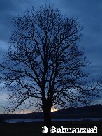 Zeichen der Zeit