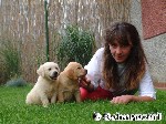 Die Fremde ist lieb !