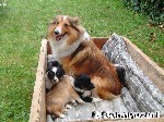 Dieser Platz ist nicht nur ...
