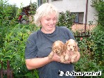 Blond, die Zweite !