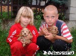 Blondi's