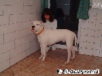 Jeder Hund in guter Hand