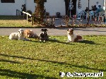 Die Abendsonne genießen