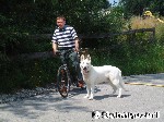 Einst haßte ich diese Radfahrer