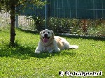 Ruhepause