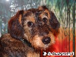Raue Schale - weicher Kern