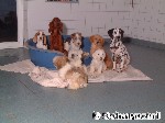Gute Gemeinschaft