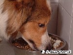 Mahlzeit