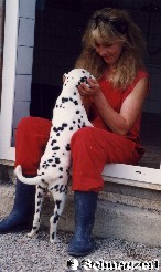 Gefleckte Liebe