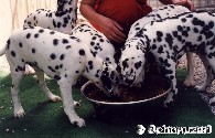 Hunger