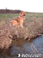 Spaziergang am Bach