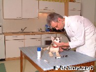 Ich mcht Dein Herz klopfen hren ...