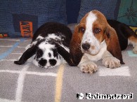 Ein Herz und eine Seele
