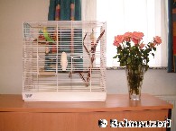 Gewohntes Zuhause als Alternative