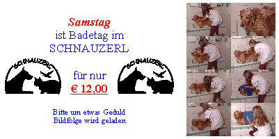 Badetag im SCHNAUZERL