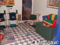 Katzensuite