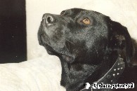 Wachsendes Vertrauen
