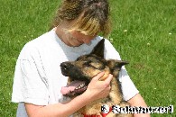 Linda's groe Liebe
