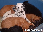 Ich schiebe die erste Wache