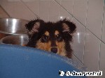 Was - schon wieder Photo!