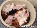 Alle Schlafbeagle ...