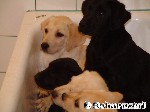 Ist heute Badetag?