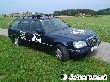 SCHNAUZERL-Taxi