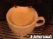 SCHNAUZERL-Cafe