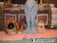 Alt und jung